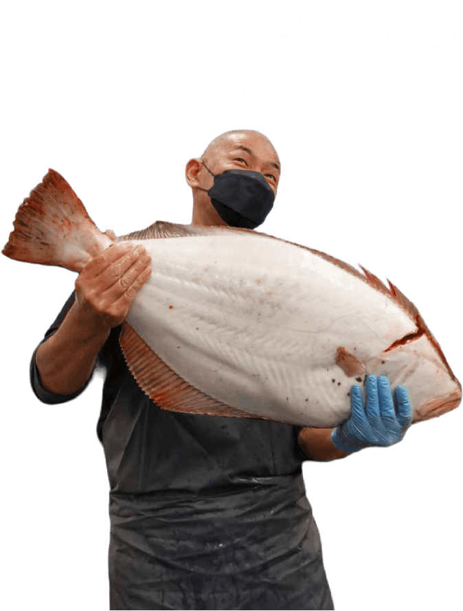 新鮮だよ!