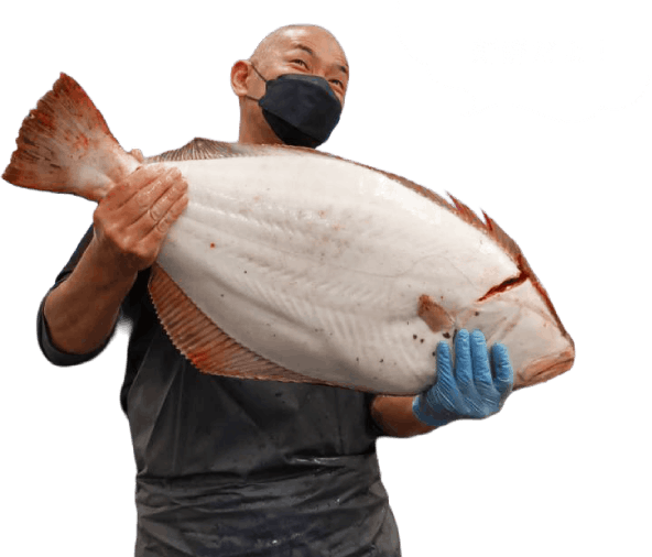 新鮮だよ!