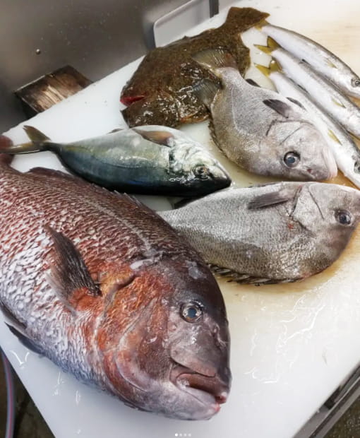 魚を見極める